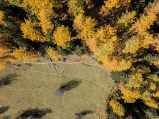 Aerial view of hiking trail in Swiss mountains. Fall colors with yellow conifer trees.