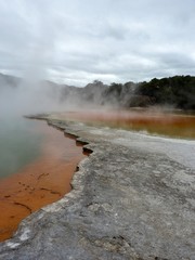 geotermal area park in Rotorua, New Zealand