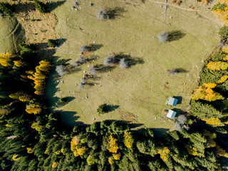 Aerial view of cottage in Swiss mountains in fall season