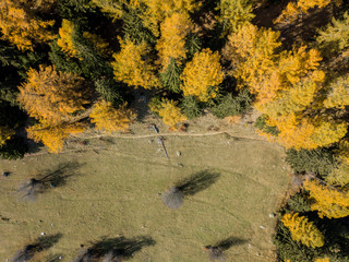 Aerial view of cottage in Swiss mountains in fall season