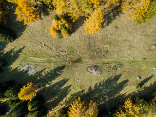 Obraz na płótnie Canvas Aerial view of hiking trail in Swiss mountains. Fall colors with yellow conifer trees.