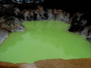 landscape of hot geotermal area with colored water and mud, New Zealand