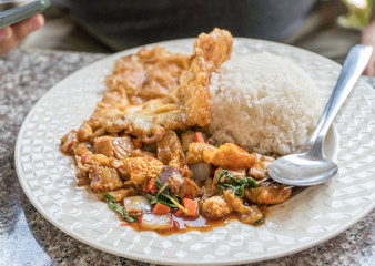 Thai Food - Thai Hot Crispy Pork Basil Rice With Fried Egg on White Dish and Granite Dining Table at Lunch