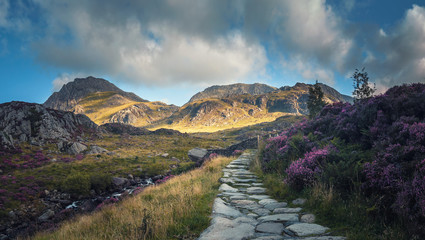 Stone Foot Path in Scenic  Snowodnia Mountains in North Wales UK