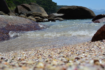 Obraz premium Shell beach, Ubatuba, Brazil. small hidden beach with access by trail, where the sand gives place to crushed shells