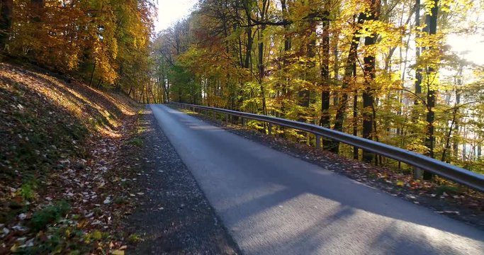 Autumn forest with road