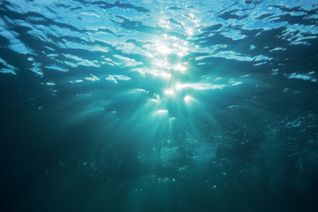 Fototapeta na wymiar Water surface underwater view of sun rays