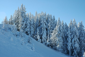 Winter mountains. Tyrol, Austria