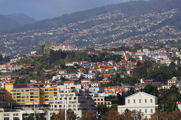madeira