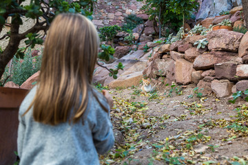 Flicka tittar på när en kattunge leker med löv