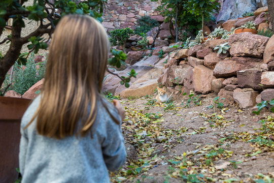 Flicka tittar p&aring; n&auml;r en kattunge leker med l&ouml;v