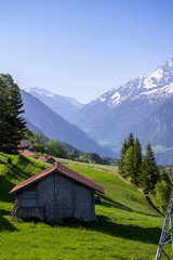 Fototapeta na wymiar Idyllic landscape in the Alps