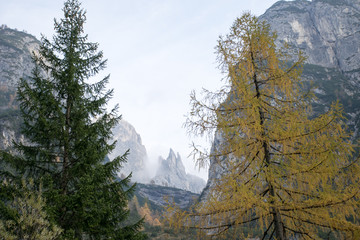 Autunno