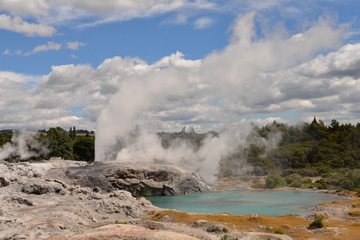 Whakarewarewa - Rotorua - New Zealand
