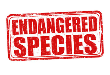 Endangered species grunge rubber stamp