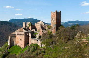 Obraz premium Chateau alsacien en ruine
