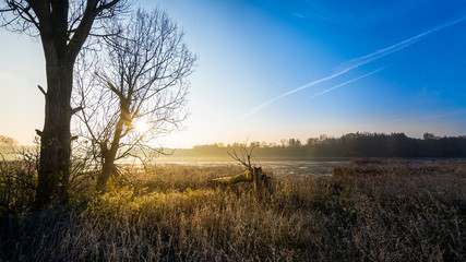 Fototapeta premium Idyllic morning landscape with a rising sun as background. Sunrise over the pond with silhouettes of trees against the blue sky.