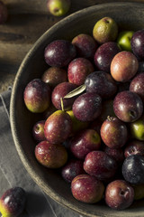Raw Fresh Organic Greek Olives