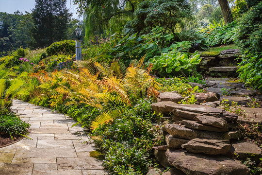 Stone Path and Steps in Garden
