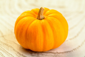 pumpkin close up