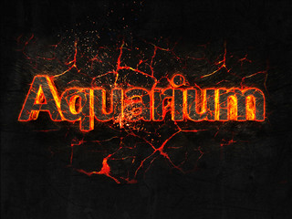 Aquarium Fire text flame burning hot lava explosion background.