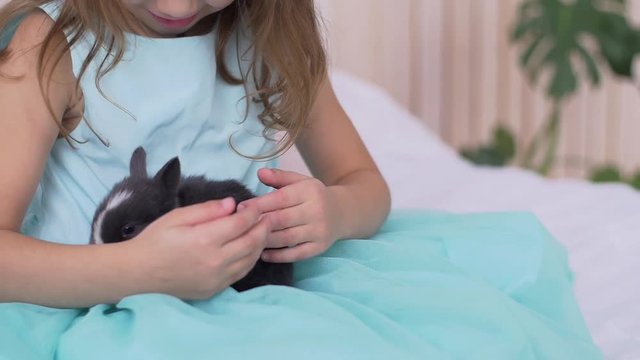 Pretty teen girl having fun, hugging and playing with decorative rabbit