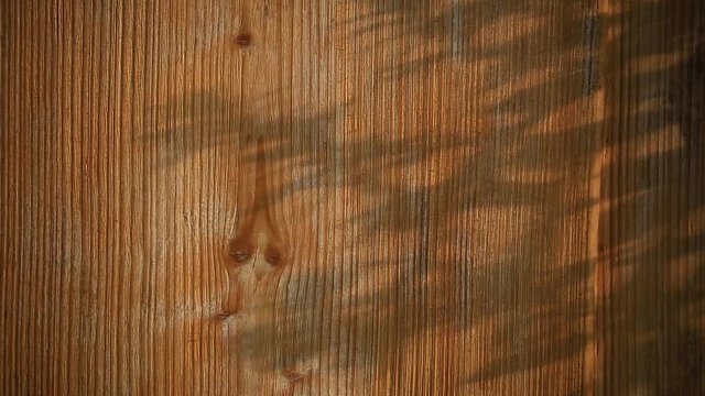 A wooden wall with shades of branches waving in the  wind