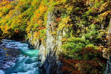錦秋の秋山郷中津川渓谷
