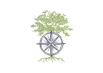Fototapeta premium Compass and Tree