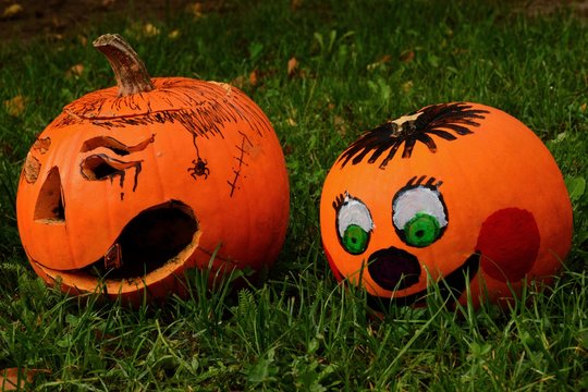 Carved Jack o lantern and whole smiling pumpkin with painted face as halloween decoration in morning sunshine on green lawn with fallen autumn leaves