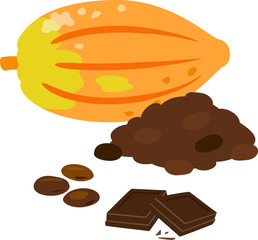 カカオの実とカカオ豆