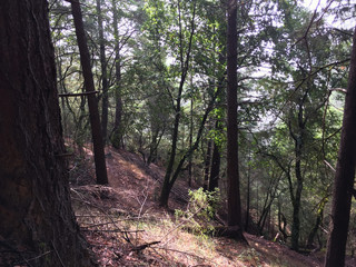 Austin Creek State Recreation Area - park encompassing an isolated wilderness area. Its includes ravines, grassy hillsides, oak-capped knolls, and rocky summits offering glimpses offering glimpses.