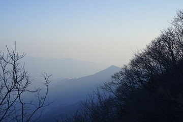 Winter trees and mountains.