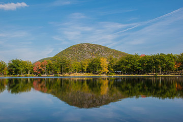 Symmetrical Fall Reflection