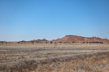 Arid landscape in outback Queensland