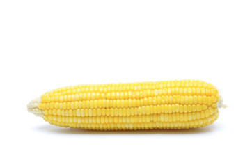 The corn is on the white background , isolated