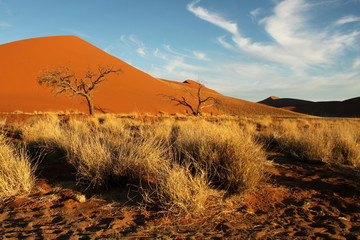 Namibia sand Hills