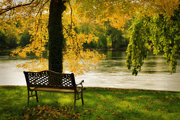 Fototapeta premium Fall scenery.