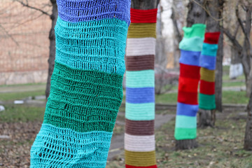 Fototapeta na wymiar Autumn landscape design. Trees are dressed in colored knitted sweaters.