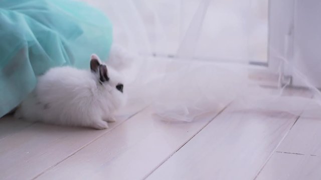 Pretty teen girl having fun, hugging and playing with decorative rabbit