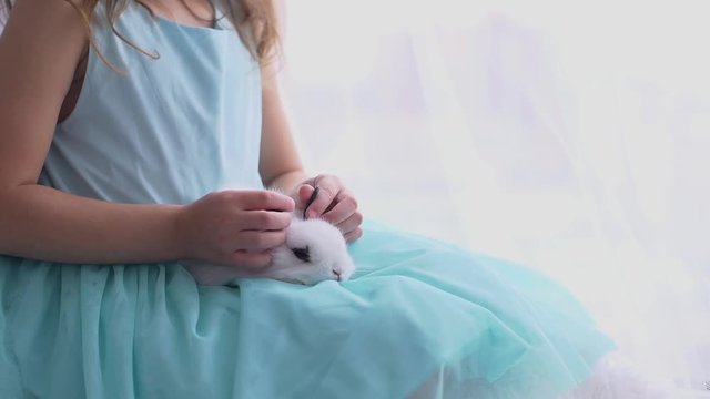 Pretty teen girl having fun, hugging and playing with decorative rabbit