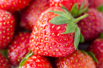 fresh ripe strawberries, macro