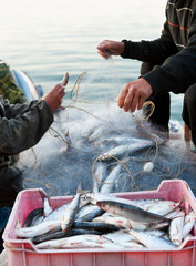 fishers at work