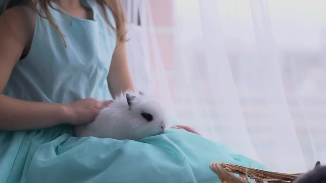 Pretty teen girl having fun, hugging and playing with decorative rabbit