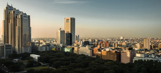 Skyline Tokyo
