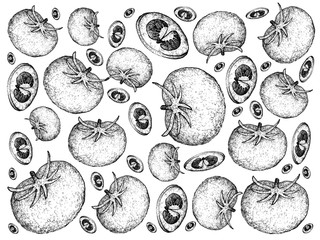 Hand Drawn of Delicious Fresh Red Tomatoes Background