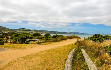 All shades of blue of the Pacific ocean.