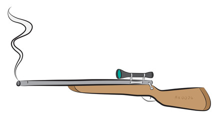 Rifle gun with optic viewfinder