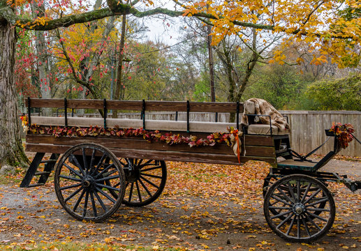 Autumn Adorned Earth Toned Buckboard