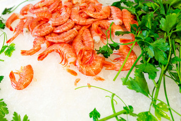 Shrimp on ice with greens